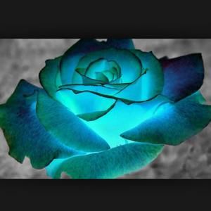 Meet your Posher, Whitney